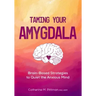 Taming Your Amygdala: Brain-Based Strategies to Quiet the Anxious Brain