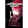 The Labyrinthian Escape