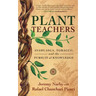 Plant Teachers: Ayahuasca, Tobacco, and the Pursuit of Knowledge