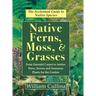 Native Ferns, Moss, and Grasses