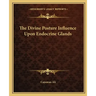 The Divine Posture Influence Upon Endocrine Glands