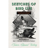 Sketches of Bird Life - From Twenty Years Observation of Their Haunts and Habits - With Illustrations by Wolf, C. Whymper, Keulemans, and Thorburn