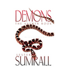 Demons the Answer Book
