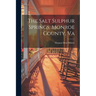 The Salt Sulphur Springs, Monroe County, Va