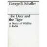 The Deer and the Tiger