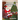 Children Did You Know: Santa Believes (Storybook)