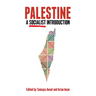 Palestine: A Socialist Introduction