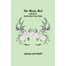 The Magic Bed: A Book of East Indian Fairy-Tales