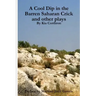 A Cool Dip in the Barren Saharan Crick and other plays