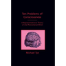 Ten Problems of Consciousness: A Representational Theory of the Phenomenal Mind