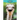 Ostriches