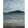 The beauty of Mazatlan beach - A brief photo guide: A brief photo guide