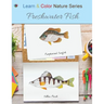Freshwater Fish