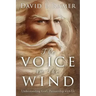 The Voice in the Wind, Understanding God's Partnership with Us