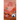The Other Realm