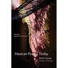 Mexican Poetry Today: 20/20 Voices