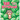 100 Watermelons