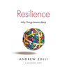 Resilience: Why Things Bounce Back