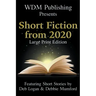 WDM Presents: Short Fiction from 2020 (Large Print Edition)