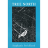 True North