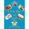 Little Bits of Joy
