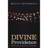 Divine Providence: God's Love and Human Freedom