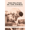 The Politics of the Visible in Asian North American Narratives