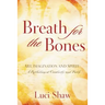 Breath for the Bones: Art, Imagination and Spirit: A Reflection on Creativity and Faith