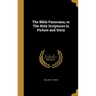 The Bible Panorama, or The Holy Scriptures in Picture and Story