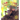 Camouflage: Changing to Hide