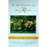 At the Bottom of the River