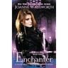 Enchanter: A Young Adult / New Adult Fantasy Novel