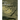 Cubagua