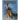 Eerie Archives Volume 7