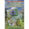 Grass as Superfood: Health from Wild and Cultivated Greens and Grains