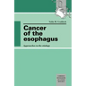 Cancer of the Esophagus: Approaches to the Etiology