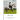Ride Free: From Fear to Fun: Release Your Fears, Reconnect to Your Horse, and Ride with Confidence