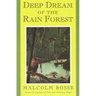 Deep Dream of the Rain Forest