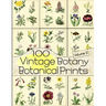 100 Vintage Botany Botanical Prints Volume 2