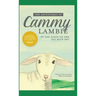 The Adventures of Cammy Lambie in The Place of the Big Blue Sky: teaching biblical truths in everyday life