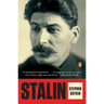 Stalin: Paradoxes of Power, 1878-1928