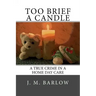 Too Brief A Candle: A True Crime in a Home Day Care