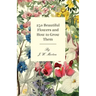 250 Beautiful Flowers and How to Grow Them