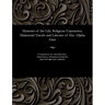 Memoirs of the Life, Religious Experience, Ministerial Travels and Labours of Mrs. Zilpha Elaw