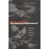 Primitive Rebels or Revolutionary Modernizers: The Kurdish Nationalist Movement in Turkey