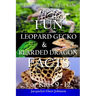 Fun Leopard Gecko and Bearded Dragon Facts for Kids 9-12