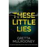 THESE LITTLE LIES an addictive crime thriller with a twist you won't see coming
