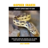 Gopher Snakes: Gopher Snakes General Info, Purchasing, Care, Cost, Keeping, Health, Supplies, Food, Breeding and More Included! A Com