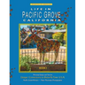 Life In Pacific Grove: Deeper Connections