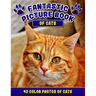 Fantastic Picture Book of Cats. 40 Color Photos of Cats: Cat Names Picture Book Gift for Adults & Seniors with Alzheimer's.